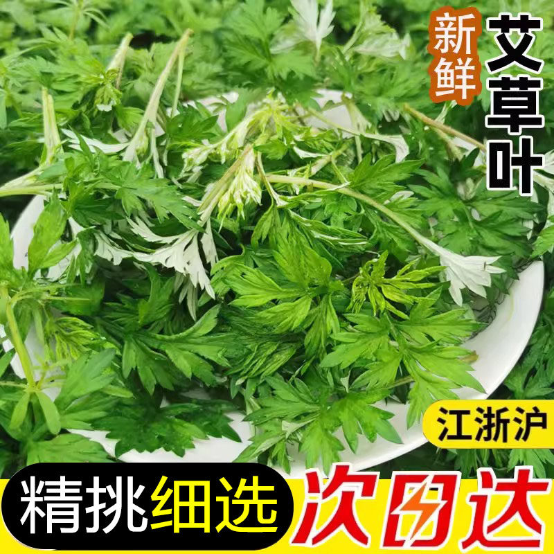 新鲜食用艾草叶野菜青团糍粑粑清明果嫩艾叶艾蒿艾米果当天现摘