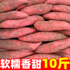 新鲜蜜薯10斤板栗红薯沙地糖心地瓜农家自种番薯现挖烟薯香薯山芋