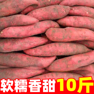 新鲜蜜薯10斤板栗红薯沙地糖心地瓜农家自种番薯现挖烟薯香薯山芋