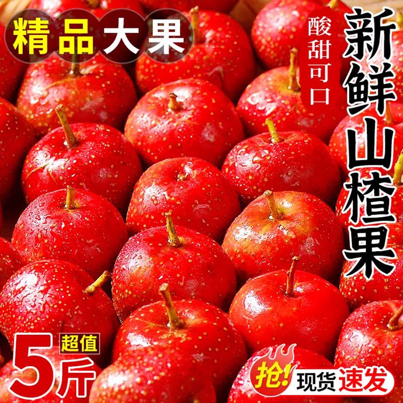 新鲜山楂果5斤山楂新鲜山楂果水果山里红铁山楂冰糖葫芦山楂包邮