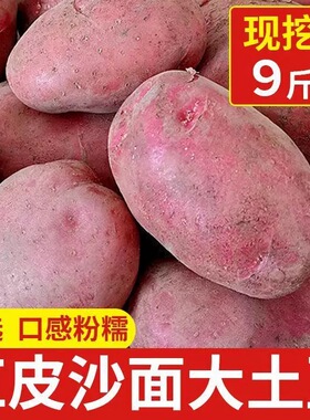 老品种云南红皮土豆黄心新鲜洋芋马铃薯高山农家自种现挖蔬菜批发