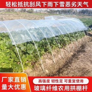 小拱棚支架玻璃纤维新型农用大棚菜地保温拱棚支架冬季实心拱杆子