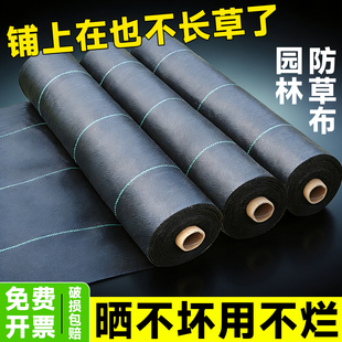 新型防草布除草布耐用农用批发地布果树果园盖草布专用地膜遮草布