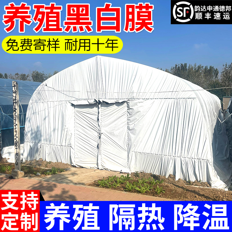 【店长推荐】加厚隔热降温黑白膜