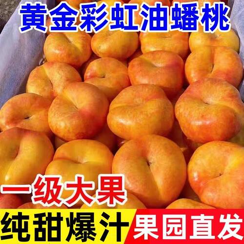 陕西彩虹黄金油蟠桃奶油蟠桃黄桃