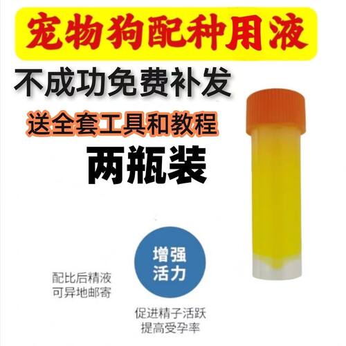 宠物狗精子人工配种金毛犬柯基泰迪犬精液异地配种母狗发情配种