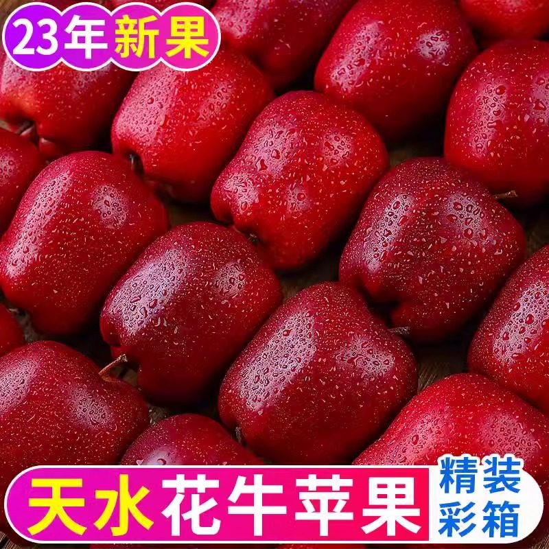 2023现摘甘肃天水花牛苹果水果新鲜当季红苹果包邮平果粉面甜整箱