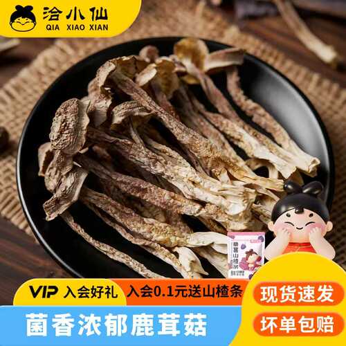 【直播推荐】洽小仙鹿茸菇干货肉厚无熏硫香脆爽口煲汤爆炒凉拌
