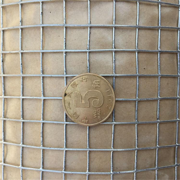 不锈钢电焊网 镀锌电 焊网保养殖网 墙体温网 铁丝网焊 接网