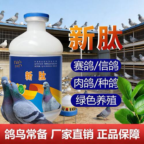 信鸽新肽 蛋鸽用新肽 新肽 赛鸽新肽 兽用养殖新肽 新肽鸽用