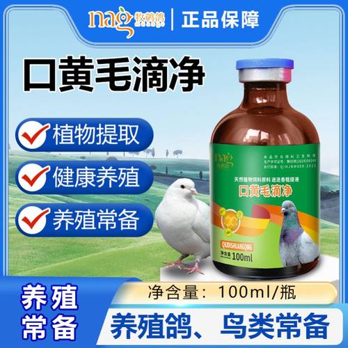 赛鸽毛滴 鸽子毛滴专用 口黄毛滴净正品 鸽子毛滴