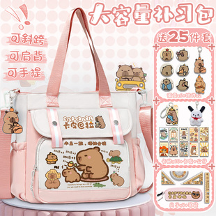 卡皮巴拉补习手提袋小学生初中补课包水豚痛包单肩斜挎包2025新款