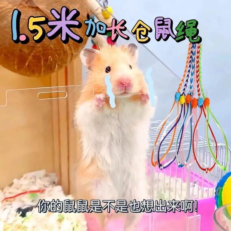 花枝鼠松鼠训练仓鼠链子牵引绳遛弯龙猫小宠加长荷兰猪专用遛鼠