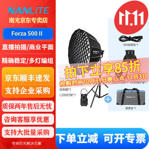 南光(NANLITE)Forza500500BII可调色温专业摄影补光灯led户外视