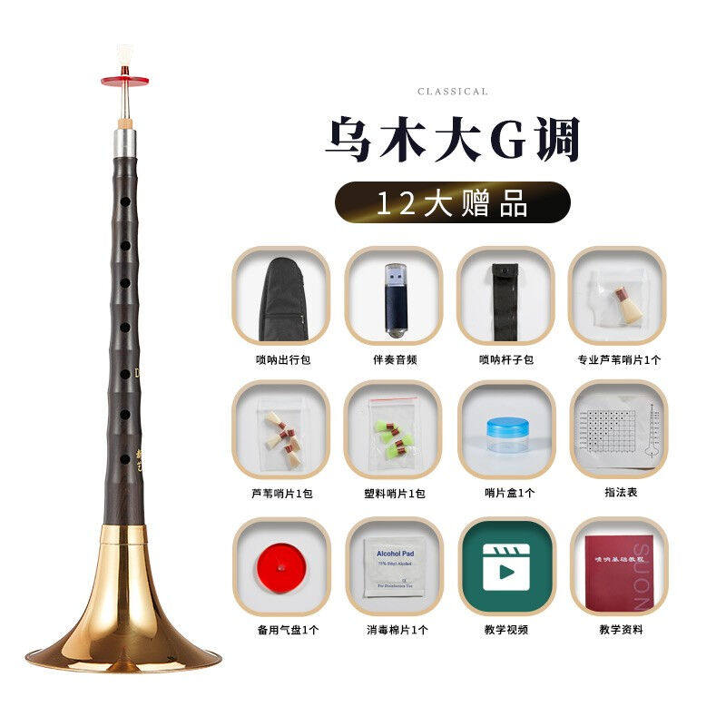 新艺（xinyi）乐器乌木唢呐专业演奏级全套唢呐初学者入门级大小高性价比高么？