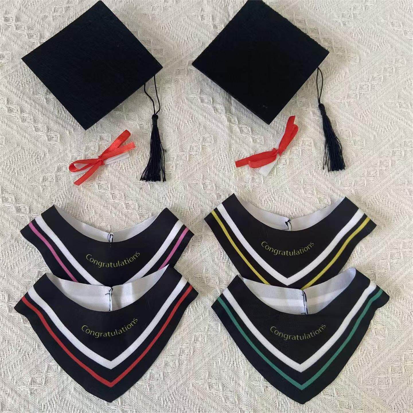 10cm娃衣学士服25cm泰迪小熊公仔博士服硕士毕业熊毕业礼物套装