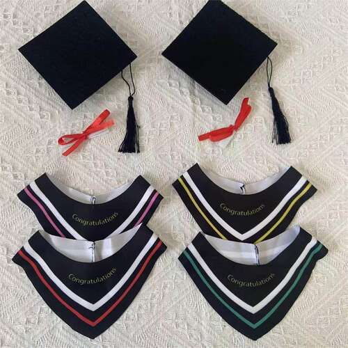 10cm娃衣学士服25cm泰迪小熊毕业