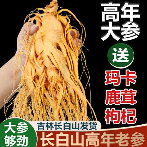 长白山人参高龄参泡酒专用大参