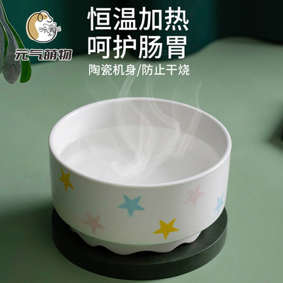 恒温猫咪饮水机酸奶水碗