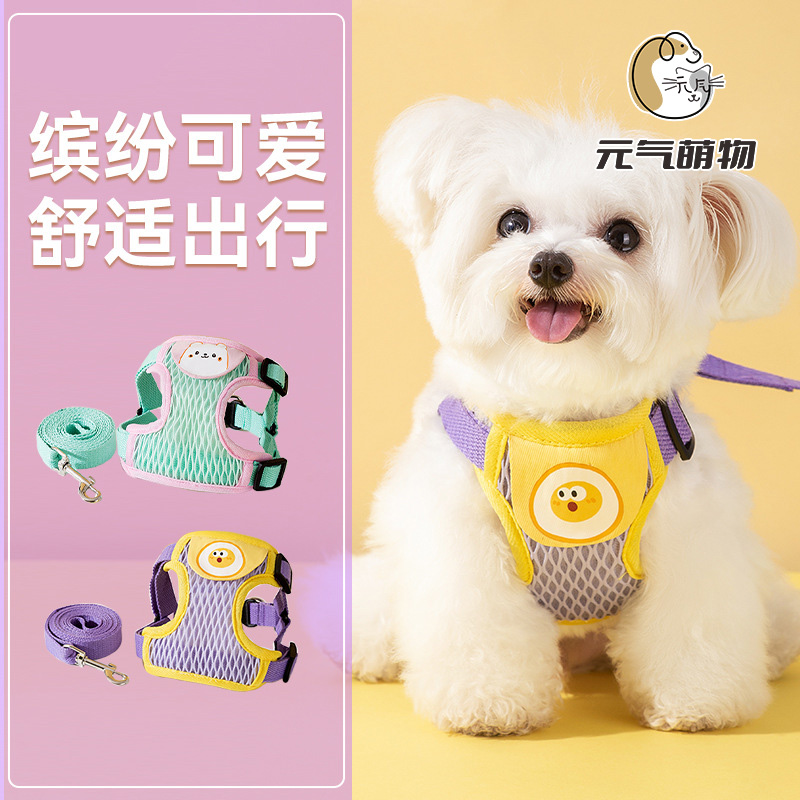 宠物狗狗猫咪外出牵引绳