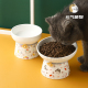 陶瓷猫碗条纹宠物猫咪喝水碗卡通满花保护颈椎防打翻猫粮碗狗狗碗