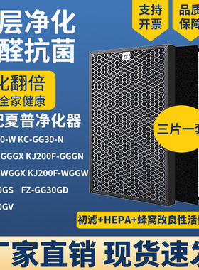 适配夏普空气净化器滤网芯KC-WG30-W FZ-GG30GD/V/S/KJ200F-GGGX