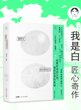 蛋梦见自己是块石头 乐府盐Salt Circulations我是白绘著 漫画诗绘本艺术书籍 广东人民出版社