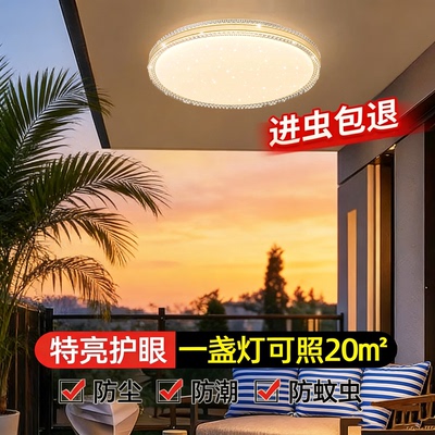 室外阳台吸顶灯屋檐走廊别墅大门口自建房入户门厅户外防潮防虫灯