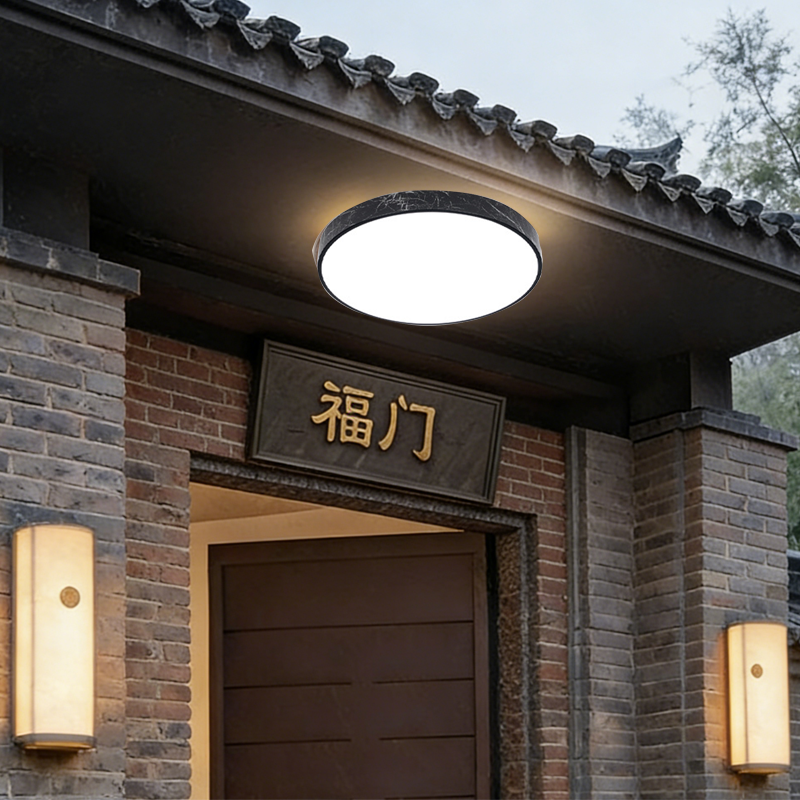 室外阳台吸顶灯屋檐走廊别墅大门口自建房入户门厅户外防潮防虫灯,家装灯饰光源,餐厅/卧室/书房吸顶灯,淘宝优惠券,粉丝福利购,淘宝优惠卷