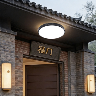 室外阳台吸顶灯屋檐走廊别墅大门口自建房入户门厅户外防潮防虫灯