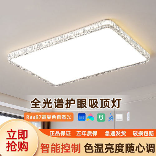 2026新款客厅大灯吸顶灯