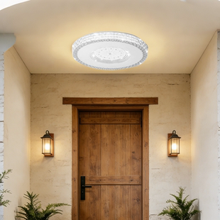 室外阳台吸顶灯屋檐走廊别墅大门口自建房入户门厅户外防潮防虫灯