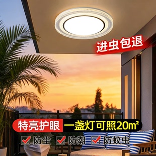 室外阳台吸顶灯屋檐走廊别墅大门口自建房入户门厅户外防潮防虫灯