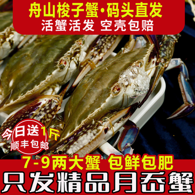 【保鲜不保活】螃蟹梭子蟹大白蟹舟山野生螃蟹新鲜公蟹海鲜水产