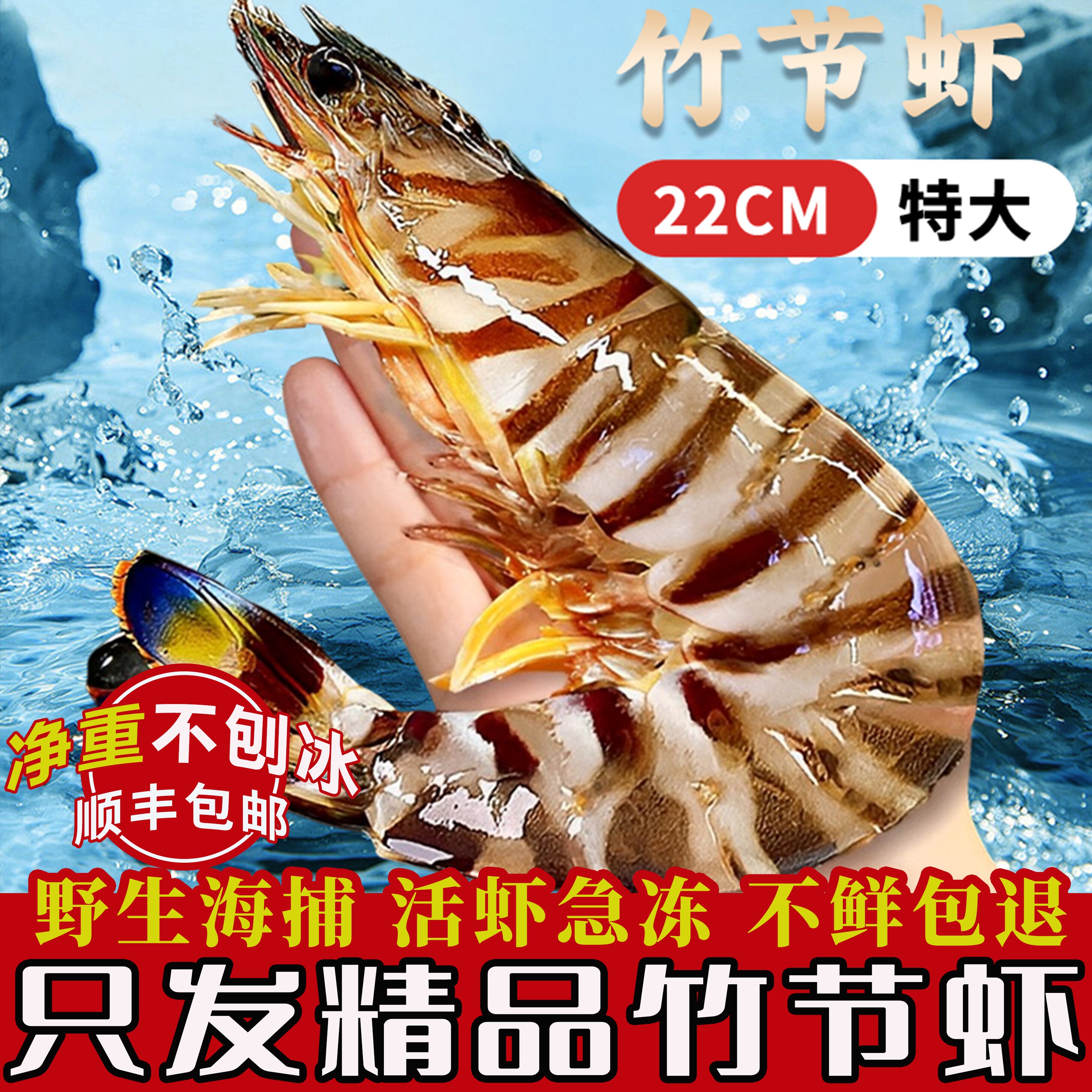 月鲜岛舟山海鲜九节虾基围虾大虾鲜活速冻斑节虾特大虾海鲜水产
