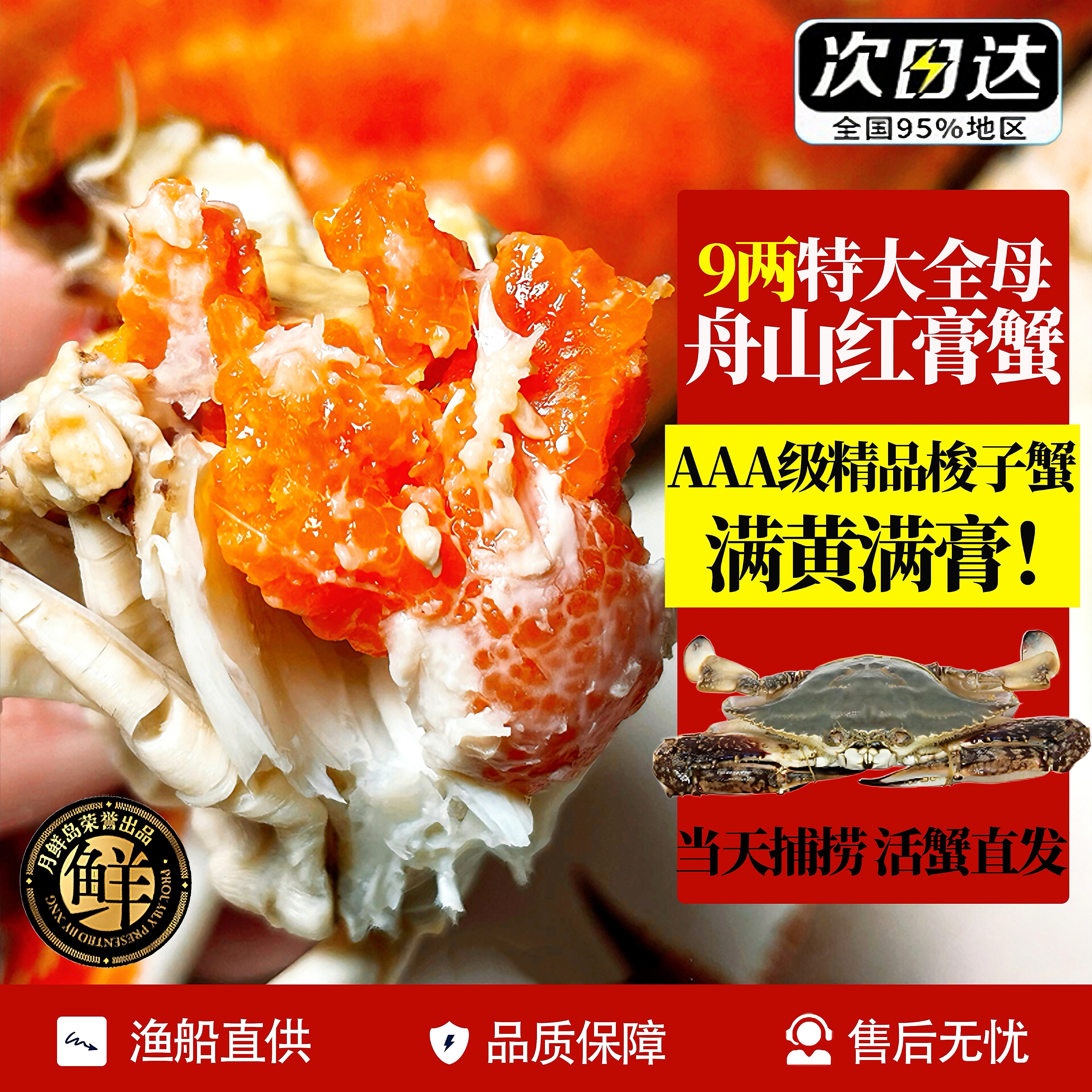 舟山红膏梭子蟹肥！满黄满膏！