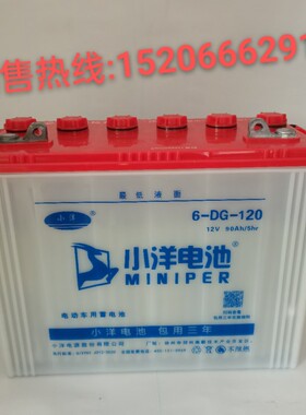 小洋大容量动力足水电池6DG120型电动车叉车堆高车洗地机专用电瓶