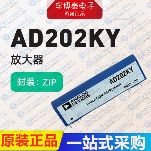 AD202KY DIP-10模块微型隔离放大器全新原装进口IC元器件