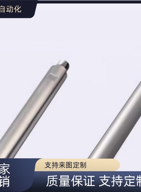 替代    SFAZ/6/8/10/12/13/15/16   导向轴