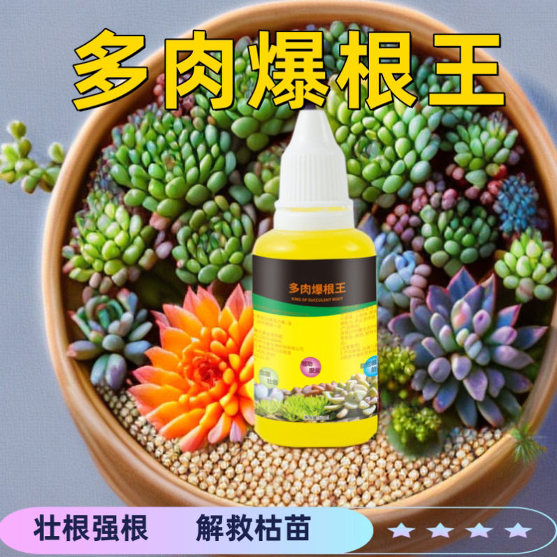 多肉爆根王快速生根壮苗剂多肉植物专用养花水肥通用营养液生根