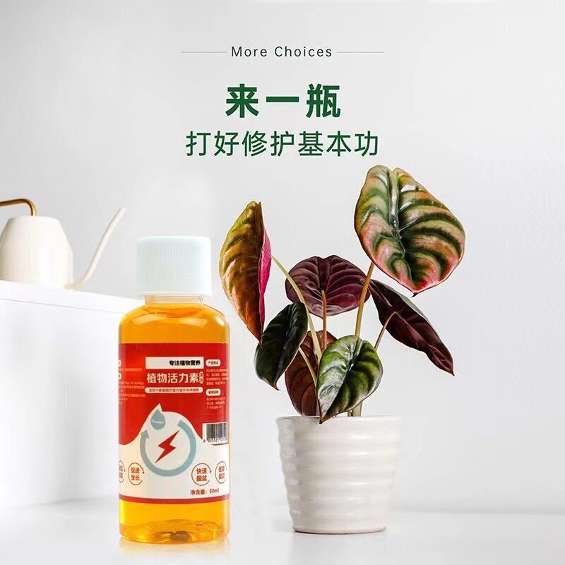 植物生长活力素促进壮根养花用的浓缩通用型营养液花卉多肉肥料