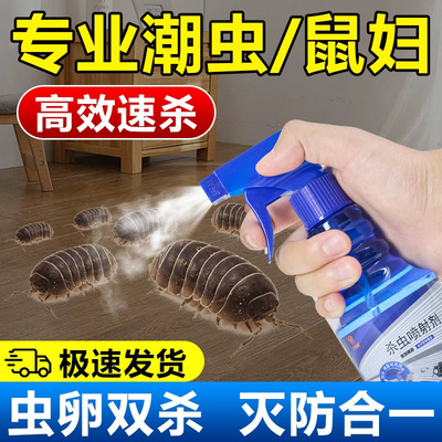 杀虫剂家用室内非蟑螂药气雾剂喷雾除虫神器驱虫室内虫卵双杀
