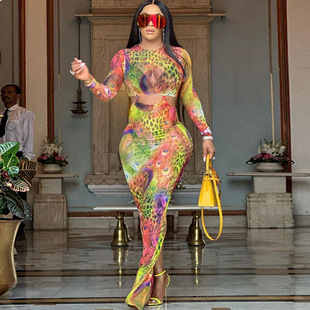 fitting tight long dress 连衣裙 Women 女士印花圆领紧身长款