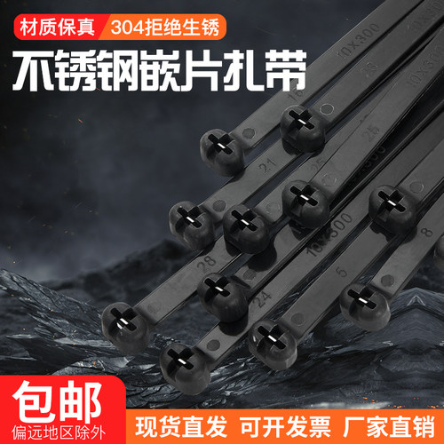 不锈钢嵌片金属卡扣船用扎带
