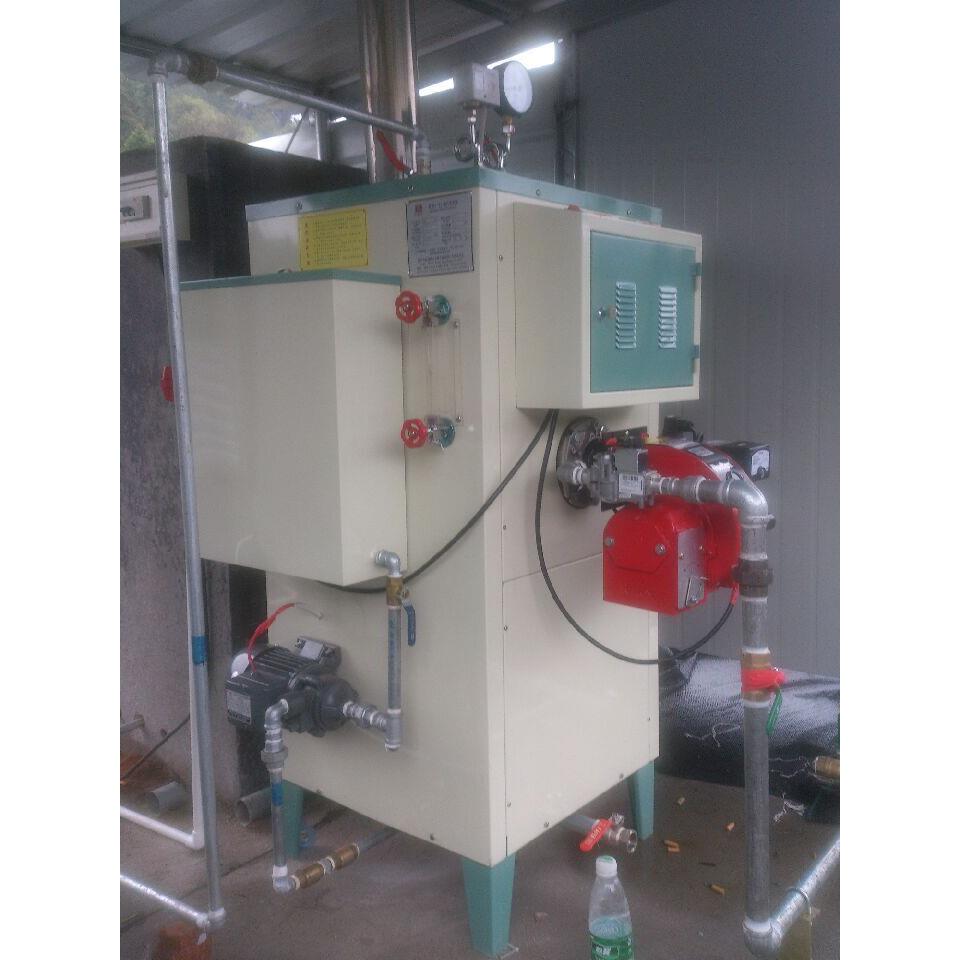 0公斤小型燃油蒸汽锅炉节能环保燃油蒸汽发生器桥梁养护蒸汽机