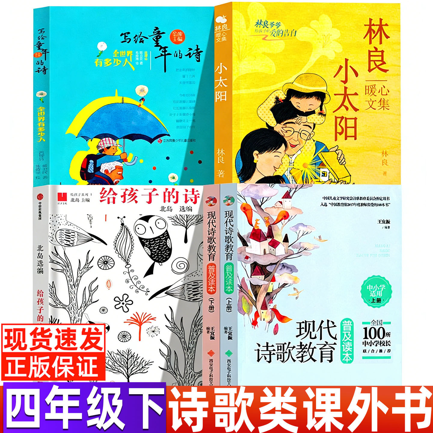 现代诗歌教育普及读本王宜图片