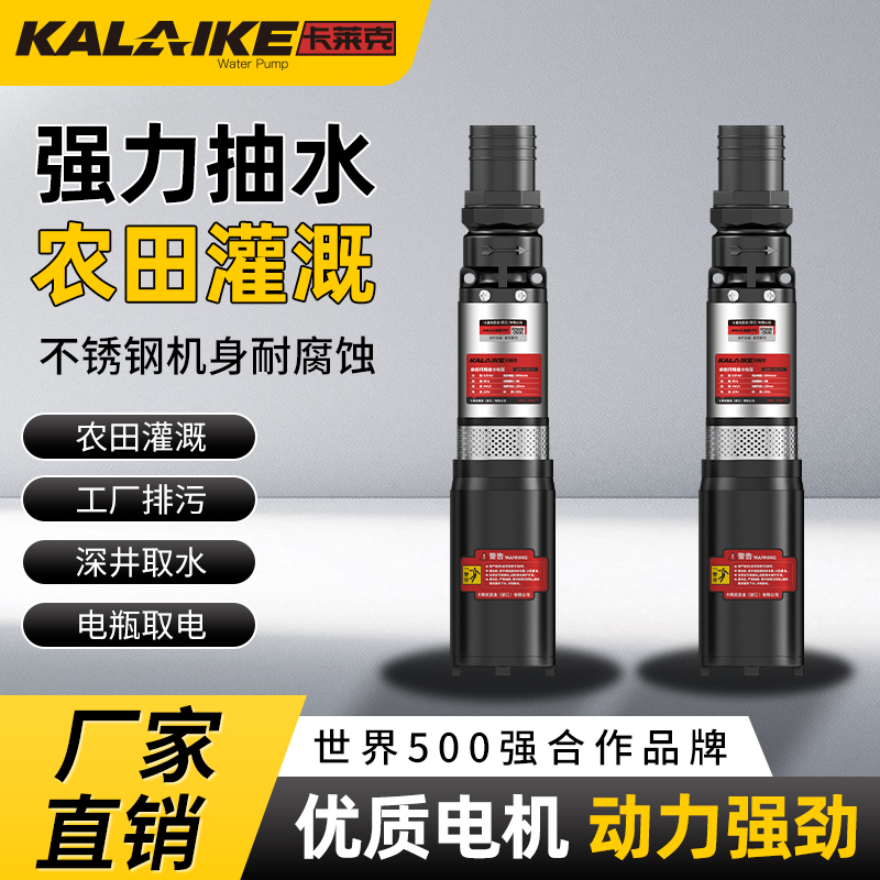 不锈钢电瓶车直流潜水泵