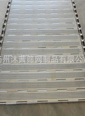 专业定面制清LBSSD-19洗机设备配套冲孔链板涂装设备送输板式链送