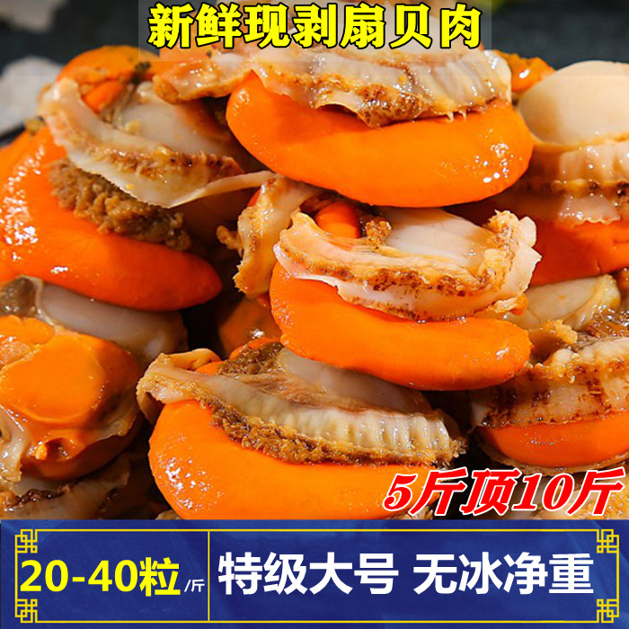无冰衣大号扇贝肉鲜活冷冻新鲜超大海鲜水产商用粉丝带黄红贝5斤怎么看?