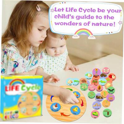 pediatric toy Life Cycle Learning & Educational Montessori